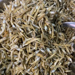 ปลาฉิ้งฉ้าง