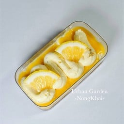 Lemon Tart