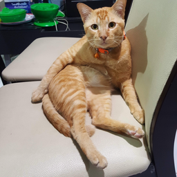 ทิปให้น้องซัน