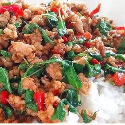 ข้าวกระเพาหมูสับ49