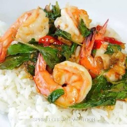 กระเพรากุ้ง