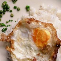 ตามสั่ง by เจเจ้