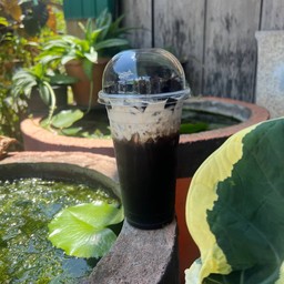 เฉาก๊วยนมสด