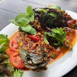 ปลาช่อนลุยสวน