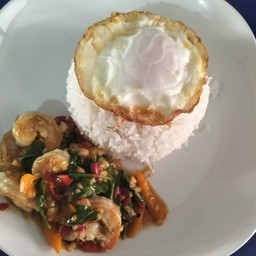 ข้าวกะเพรากุ้ง