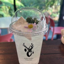 น้ำช่อดอกมะพร้าว