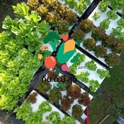 กิน ดี มี สุข