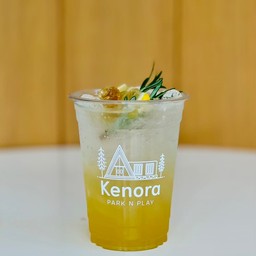 Honey lemon soda