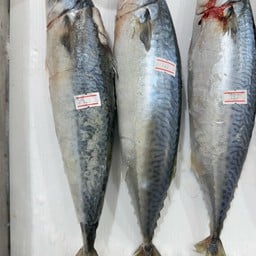 ปลาซาบะย่าง