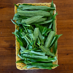 ผักบุ้ง (Bb)