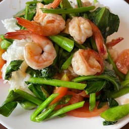 ข้าวราดคะน้าน้ำมันหอย