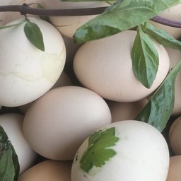 ใข่ข้าวนึ่ง (5ฟอง)