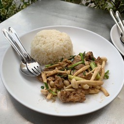 หมูผัดน้ำมันหอย
