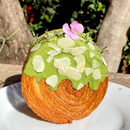 ทิมเบอร์ริงมัทฉะ (Timber Ring)