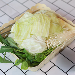 ผักรวมใหญ่ (Fp)