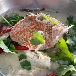 หลนปูม้า