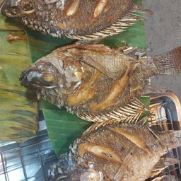 ปลานิลทอด