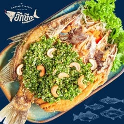 ปลากะพงลุยสวน