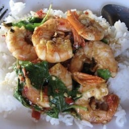 กะเพรากุ้งพิเศษ