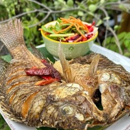 ปลาทอด+น้ำยำปลาดุกฟู