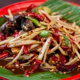 ตำ ยำเด้ออออ🤤 เก4 มอเจ้าคุณทหารลาดกระบัง