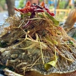 ปลาทอดสมุนไพร