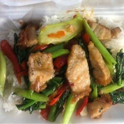 ครัวอาหารตามสั่ง159