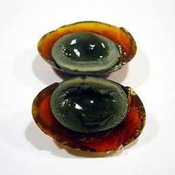 ไข่เหยี่ยวม้า