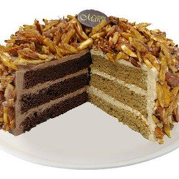 คอฟแอนด์ช็อก เจนัว 6นิ้ว (1ปอนด์)