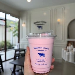 Mother Cows มหิดล ศาลายา