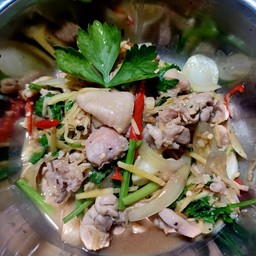 ผัดขิงไก่คื่นฉ่าย