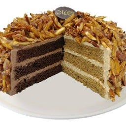 คอฟแอนด์ช็อก เจนัว 6นิ้ว (1ปอนด์)