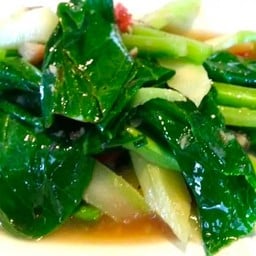 คะน้าน้ำมันหอย