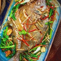 ปลาจาระเม็ดดำนึ่งเหล้ารีเจนซี่