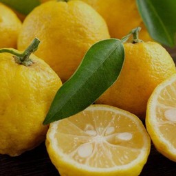 อเมริกาโน่ ยูซุปั่น 16 Oz