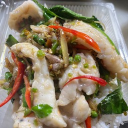 เนื้อปลาเก๋าผัดคึ่นฉ่าย