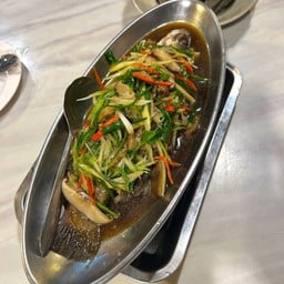 ปลา … นึ่งซีอิ๊ว