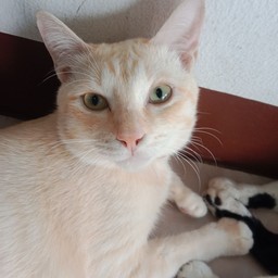 ทริป น้อง มันนี่