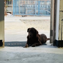 VAYLA SLOW BAR COFFEE