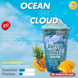 Ocean on Cloud (Blue Spirulina Superfood!)