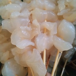 แมงกระพรุน