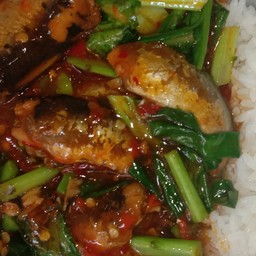 ข้าวคะน้าปลากระป๋อง