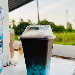 โกโก้มินท์