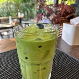 Matcha Hara