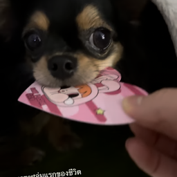 เครปไอติมคุณปุ๊ก