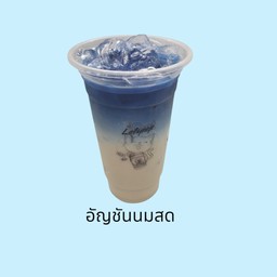 นมสดอัญชัน