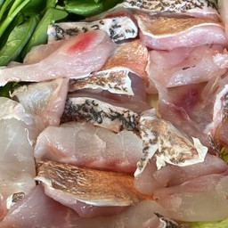 ชาบูปลาเก๋า 石斑魚涮鍋