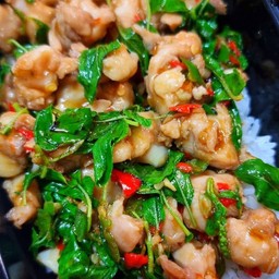 กะเพราเอ็นไก่