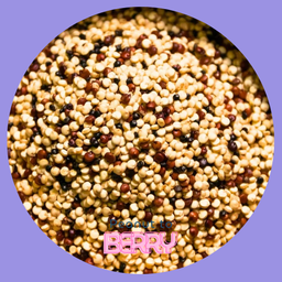 ควินัว 3 สี ต้ม 10 กรัม