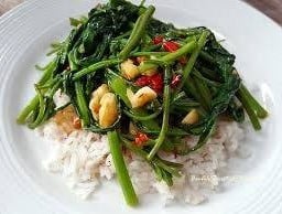 ผักผักบุ้ง